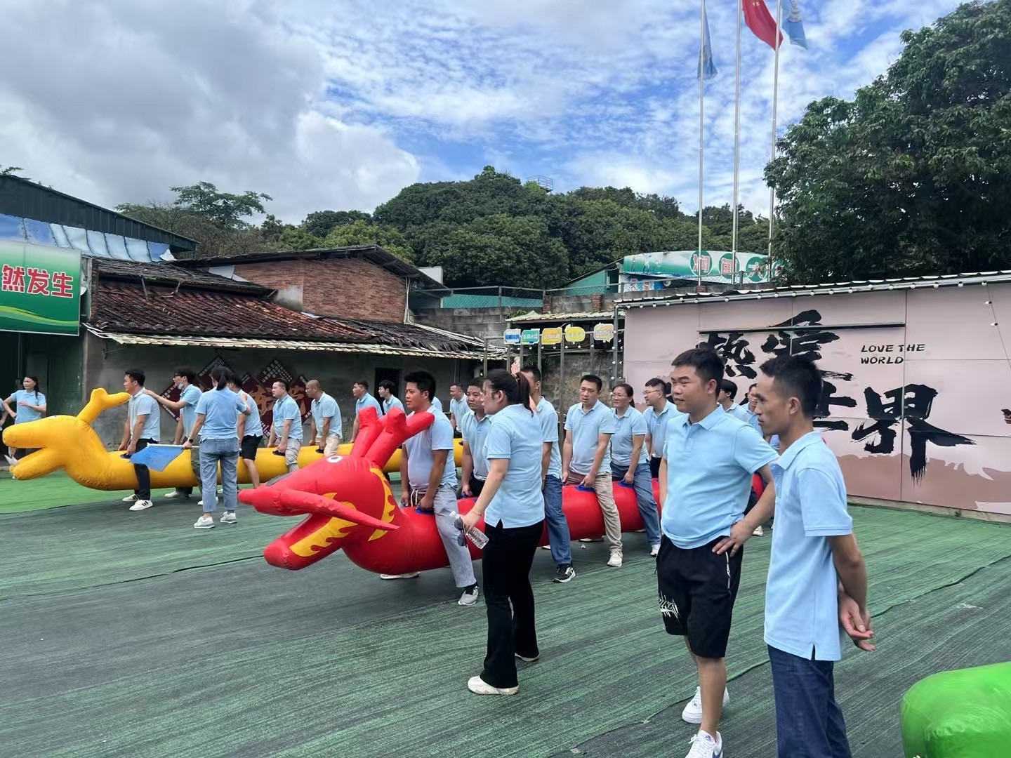 旱地龙珠.jpg